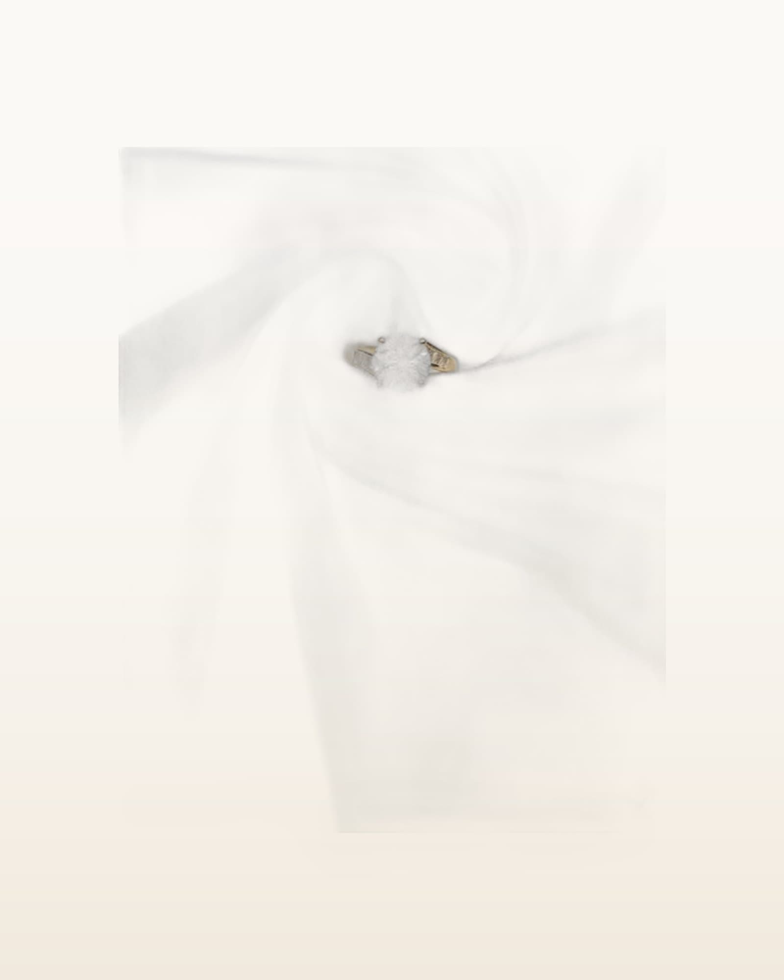 Affordable Rings For long lasting use, photographed against a plain background